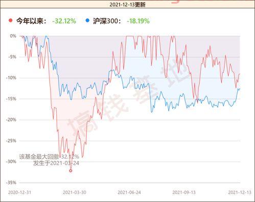 基金涨停怎么看收益（基金涨停收益怎么说）