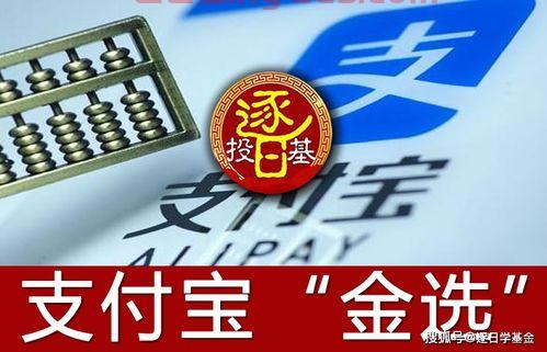 支付宝四支基金经理排名（支付宝里基金经理最牛的人）