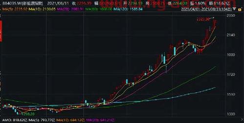 板块内基金怎么买不了股票（有些股票基金买不了）