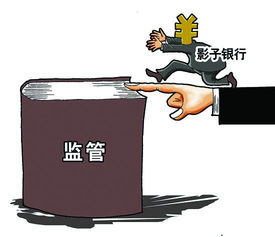 影子银行是金融风险（影子银行风险包括）
