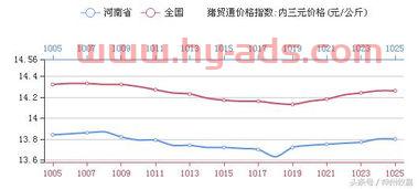 近期猪价涨势如何